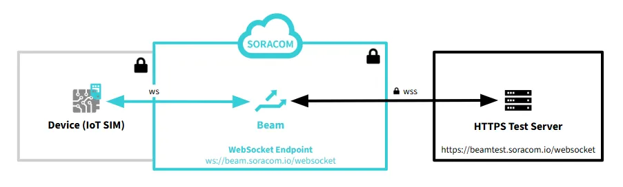 WebSocket flow via Beam to HTTPS test server
