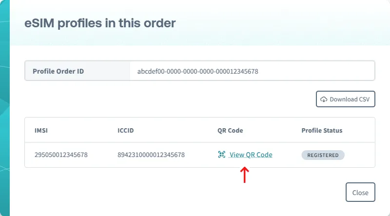 A screenshot of the eSIM profiles in this order screen